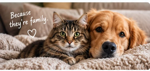 Dog and cat together at home