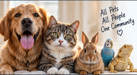 Dog, cat, rabbit, bird and reptile representing the MyPetsFiles pet community